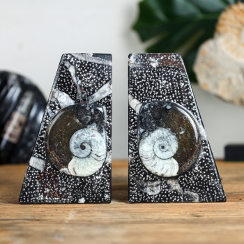 Marble Bookends with Fossilised Orthoceras