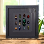 Minibeast Multiple Insect Display Frame