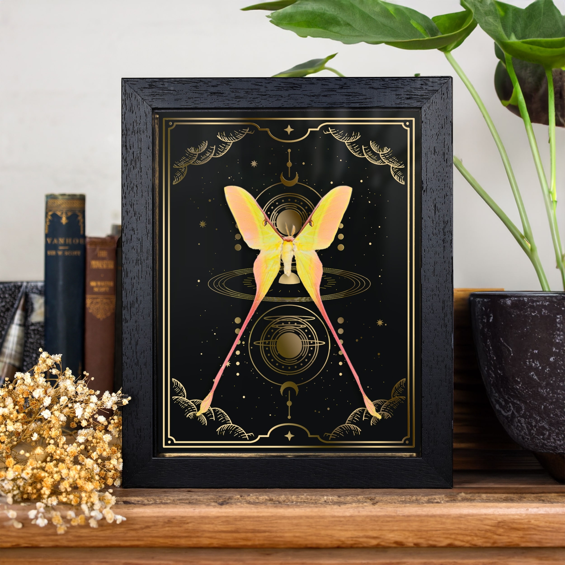  Chinese Moon Moth on Gold Foil Moon Phases Background (Actias dubernardi)