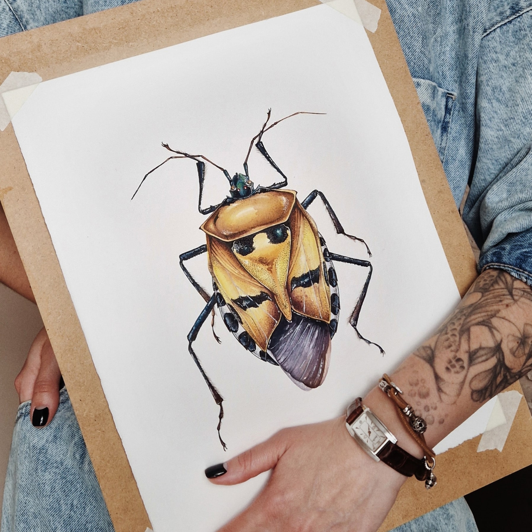 Man-faced Stink Bug (Catacanthus incarnatus) Watercolour Giclée Print