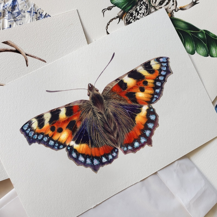 The Small Tortoiseshell Butterfly (Aglais urticae) Watercolour Giclée Print