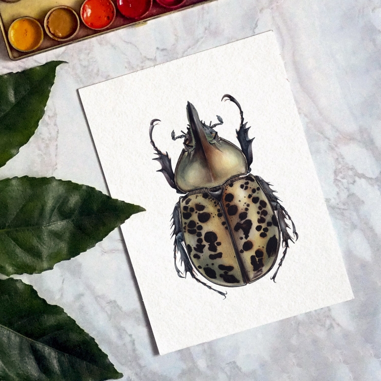 Eastern Hercules beetle (Dynastes tityus) Watercolour Giclée Print