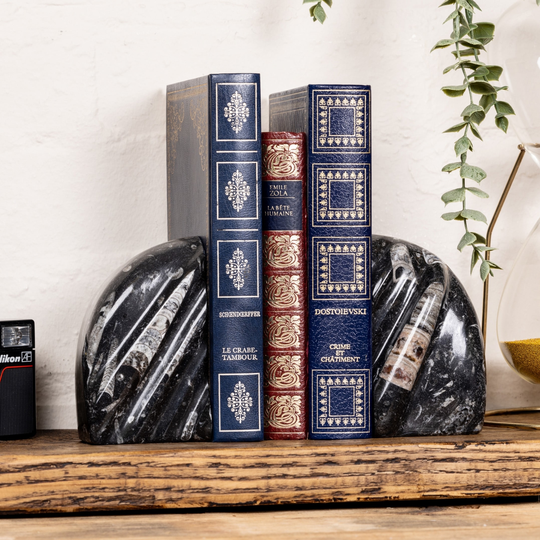 Minibeast Marble Bookends with Fossilised Orthoceras