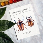 Minibeast Mecynorhina Torquata Ugandensis Pair Watercolour Giclée Print