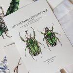 Minibeast Mecynorhina Polyphemus Pair Watercolour Giclée Print