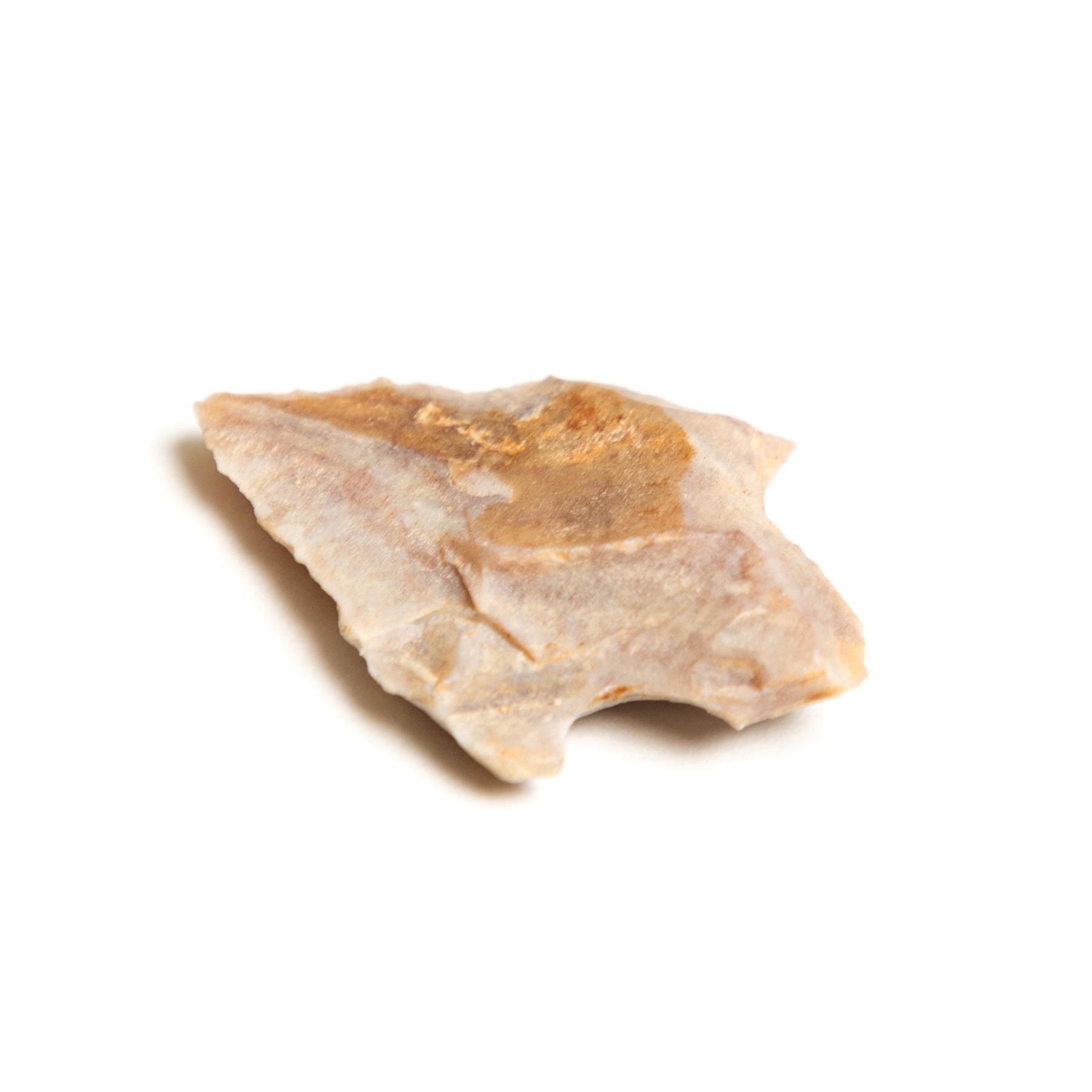 Neolithic Arrowhead In Box Frame from 4,000 BC Neolithic Arrowhead In Box Frame from 4,000 BC