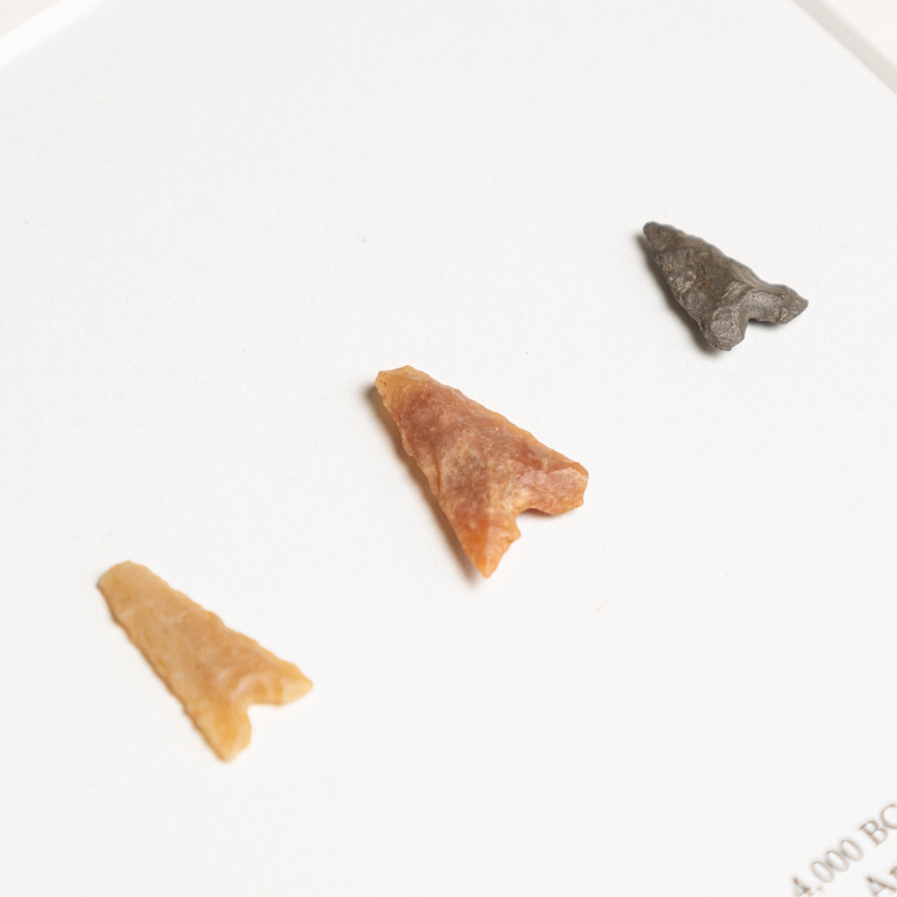 Minibeast Neolithic Arrowhead Trio In Box Frame from 4,000 BC