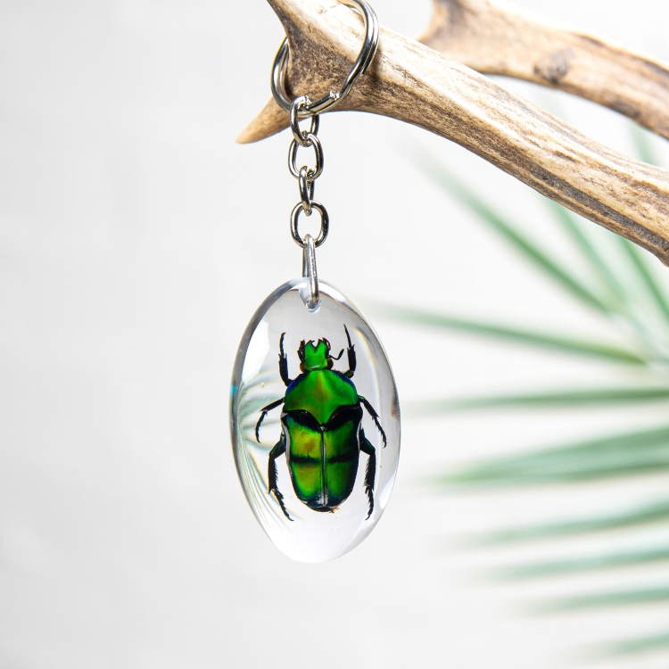 Green Flower Beetle Keyring In Resin (Ischiopsopha bifasciata)