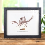 Minibeast Spinosaurus Dinosaur Illustration & Tooth Fossil (Spinosaurus aegyptiacus) #2