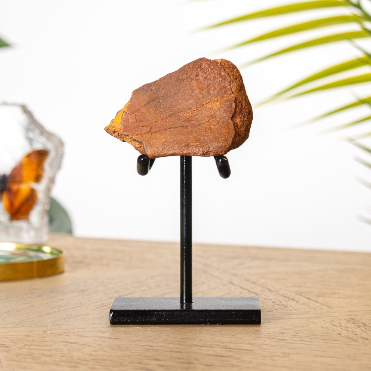 Rough Dinosaur Bone Fragment Fossil on Stand