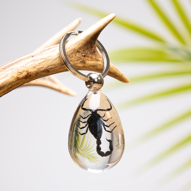 Scorpion in Resin Keyring