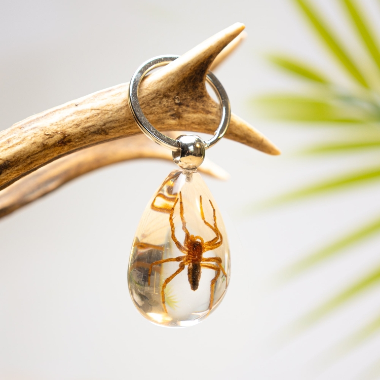 Yellow Spider in Resin Keyring