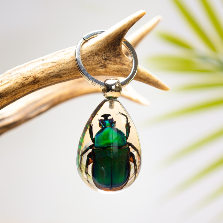 Green Flower Chafer Beetle in Resin Keyring