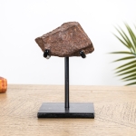 Minibeast XL 500g Iron Meteorite on Stand