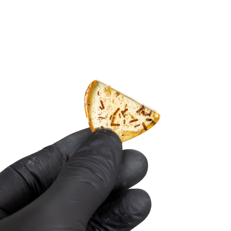 Insect In Amber