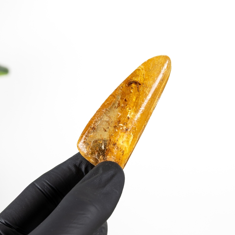 2.65 Inch Insects In Amber