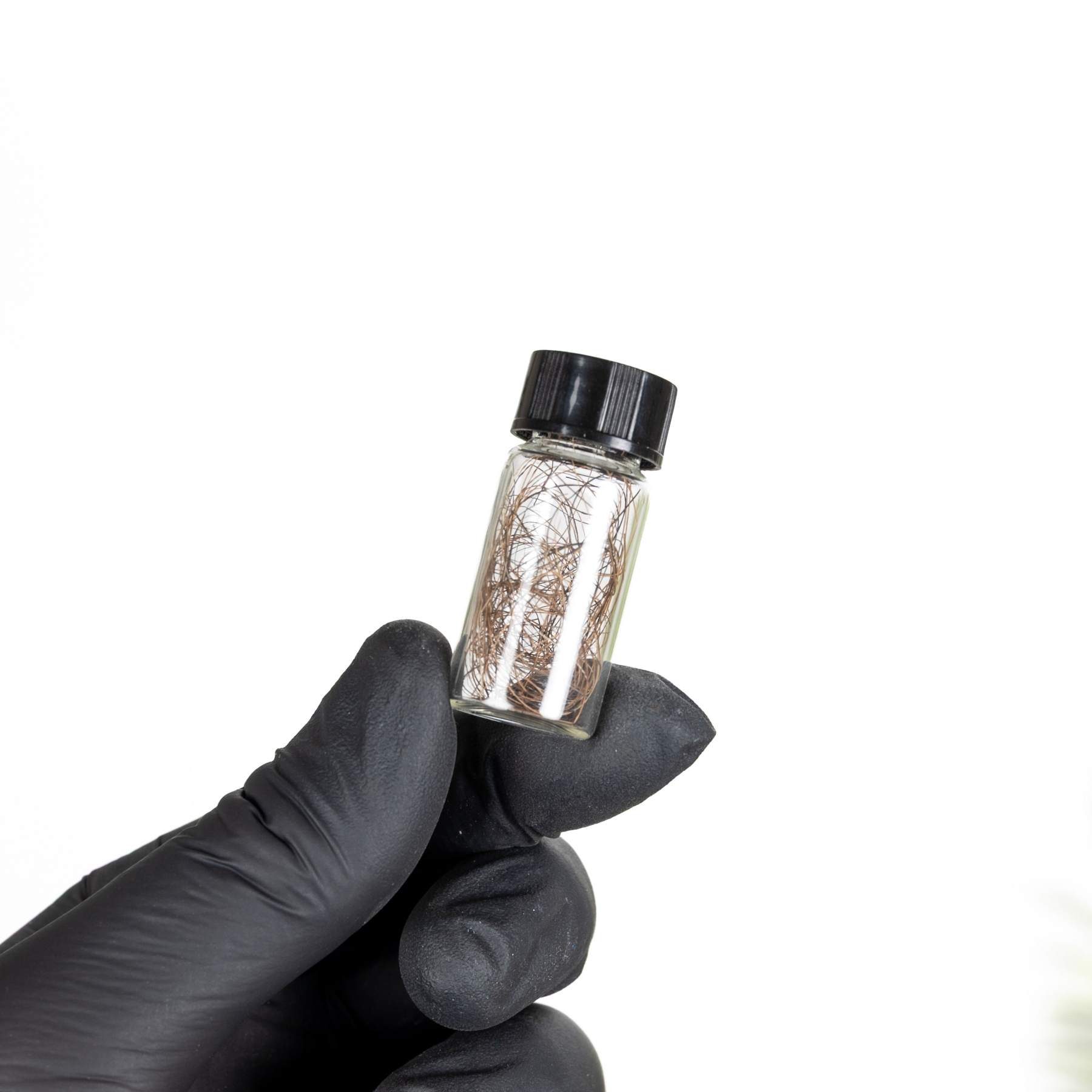 Minibeast Woolly Mammoth Hair in Vial Fossil (Mammuthus sp)