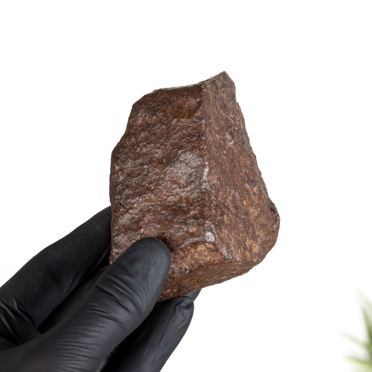 XL 500g Iron Meteorite
