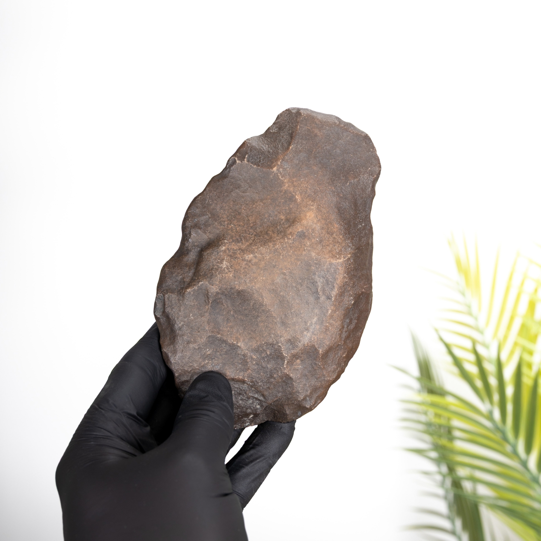 Minibeast Paleolithic Pounder Tool