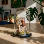 Minibeast Small Rhinoceros Beetle Still Life Dome (Golofa spatha)