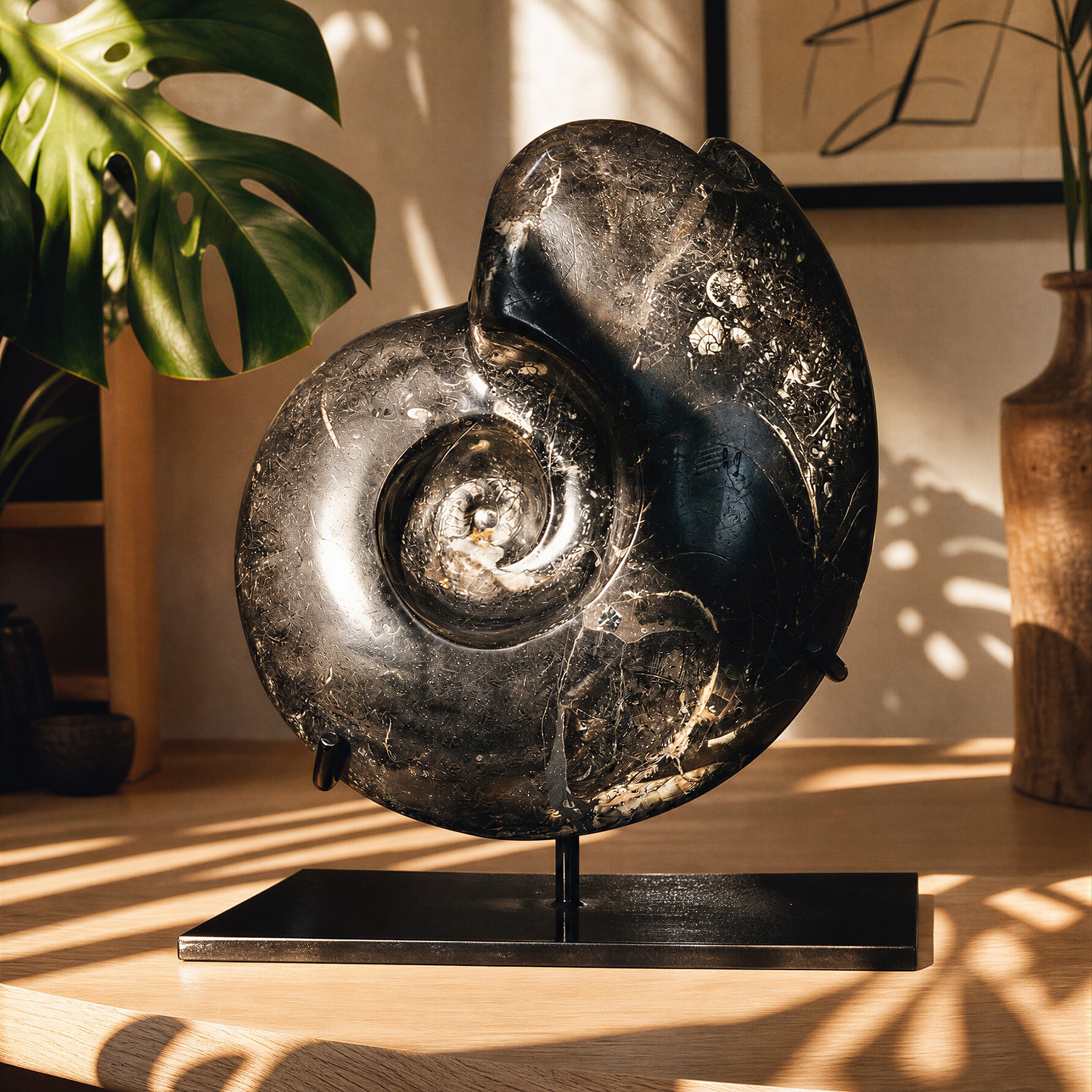Minibeast XXL Goniatite Ammonite Fossil on Museum Stand (Goniatite sp)