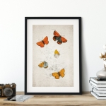 Minibeast Vintage Entomology Giclee Print (Lycaena dispar 1835)