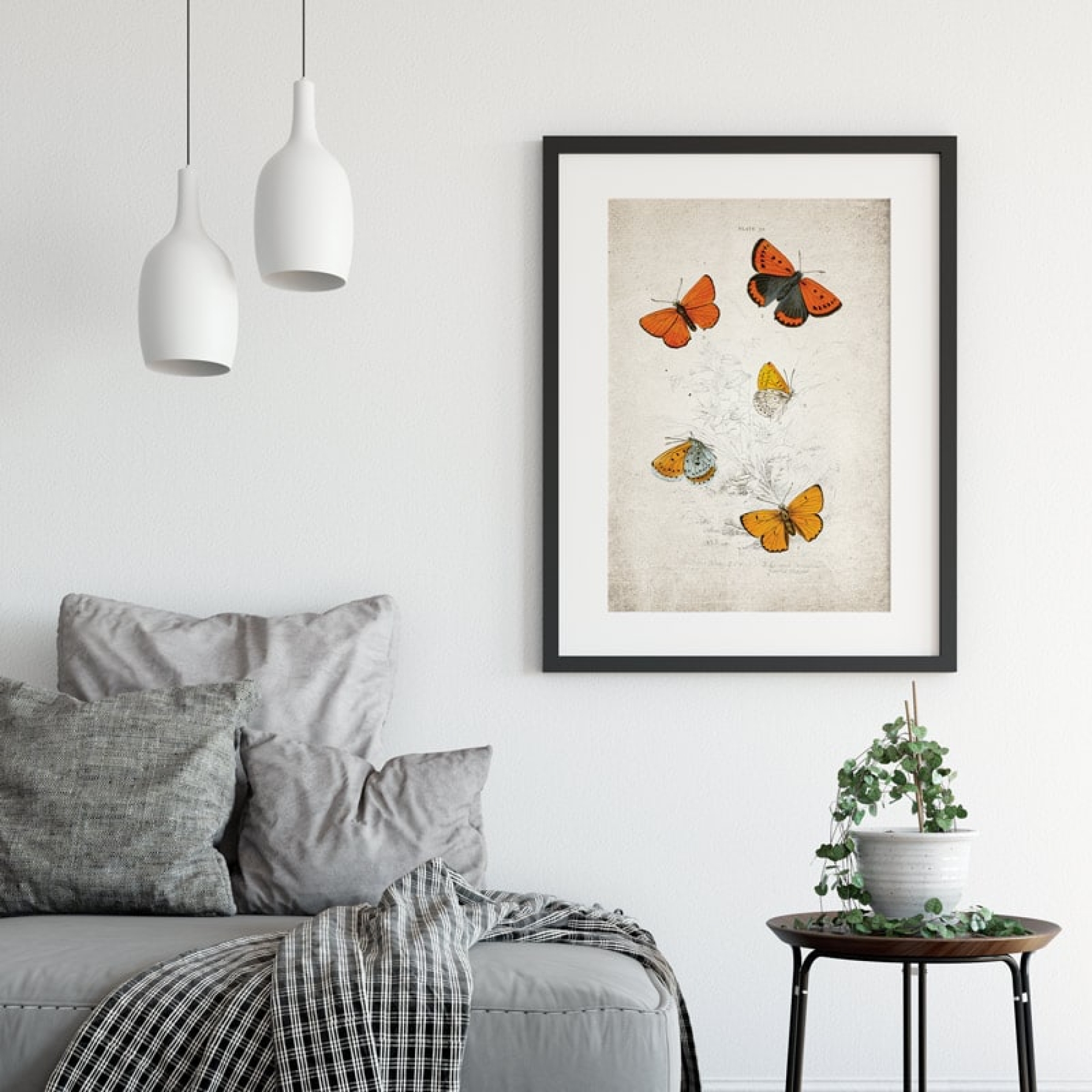 Vintage Entomology Giclee Print (Lycaena dispar 1835)