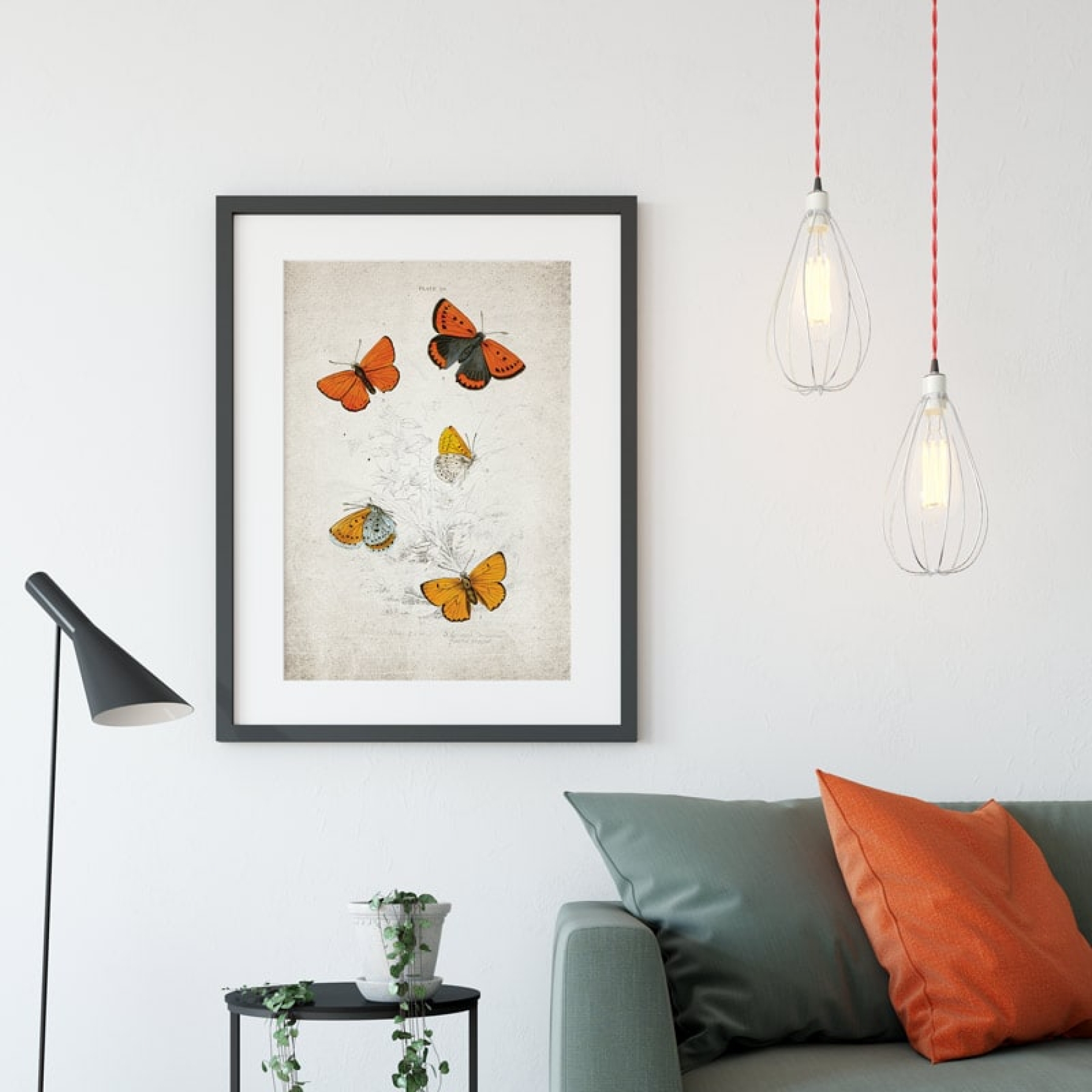 Vintage Entomology Giclee Print (Lycaena dispar 1835)