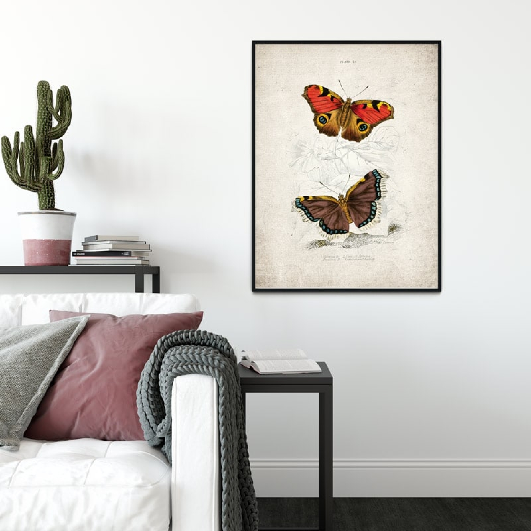 Vintage Entomology Giclee Print (Vanessa io 1835) Vintage Entomology Giclee Print (Vanessa io 1835)