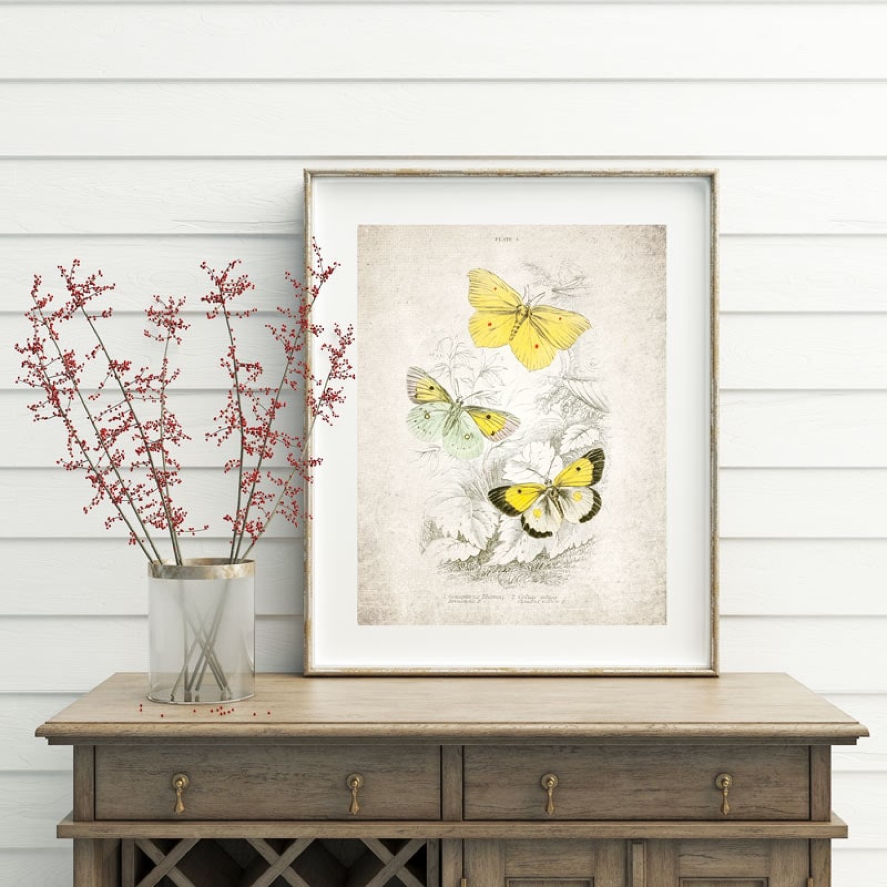 Minibeast Vintage Entomology Giclee Print (Gonepteryx rhamni 1835)