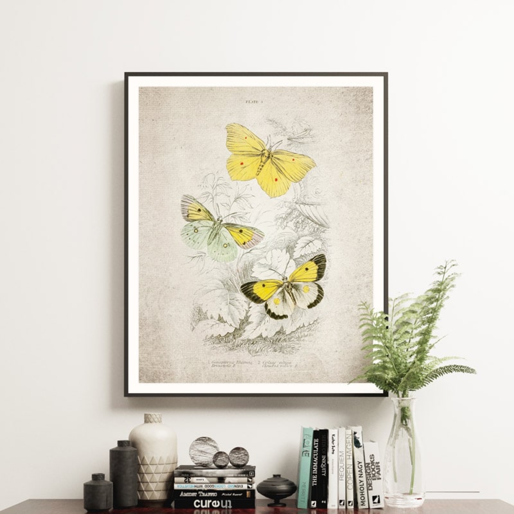 Minibeast Vintage Entomology Giclee Print (Gonepteryx rhamni 1835)