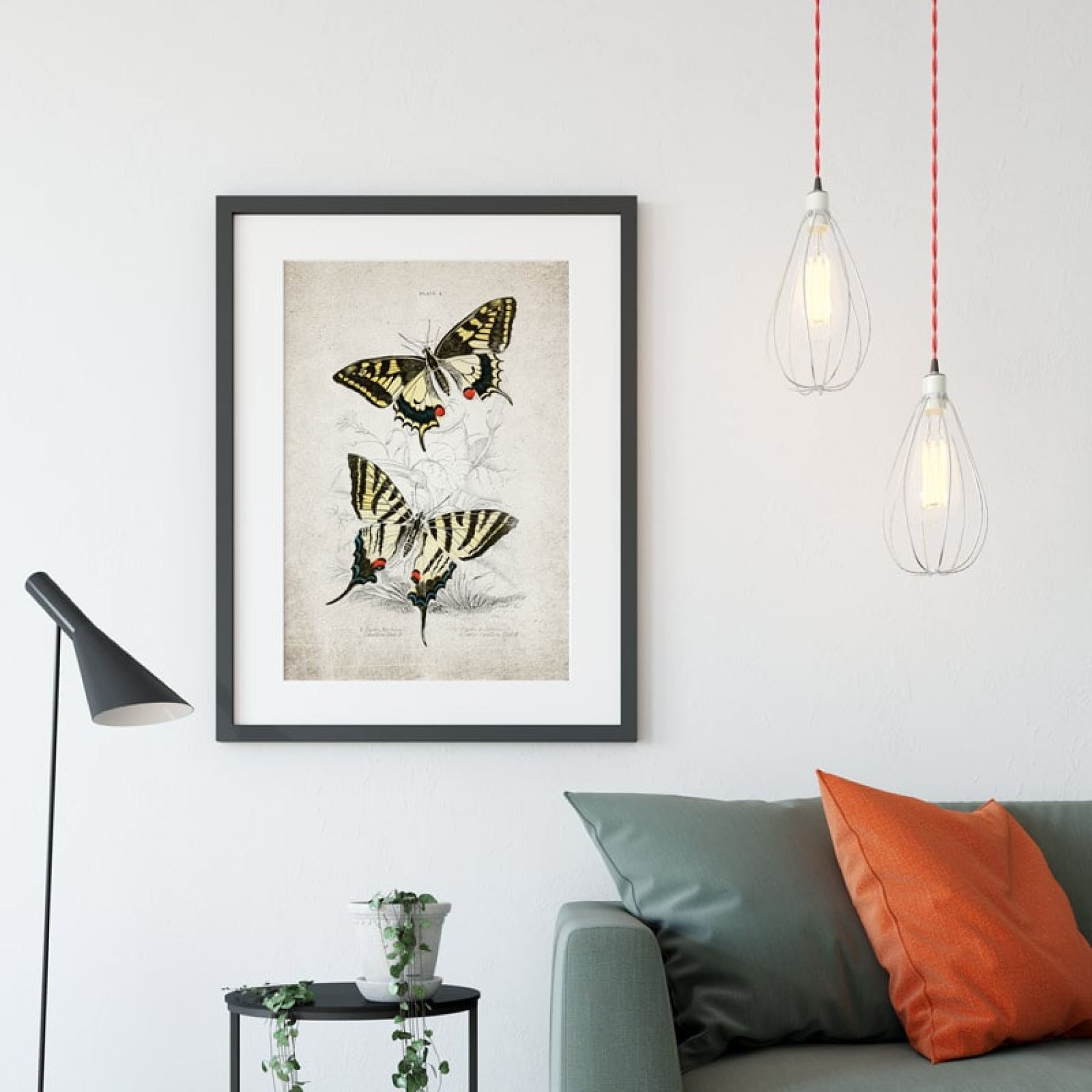 Vintage Entomology Giclee Print (Papilio machaon 1835)
