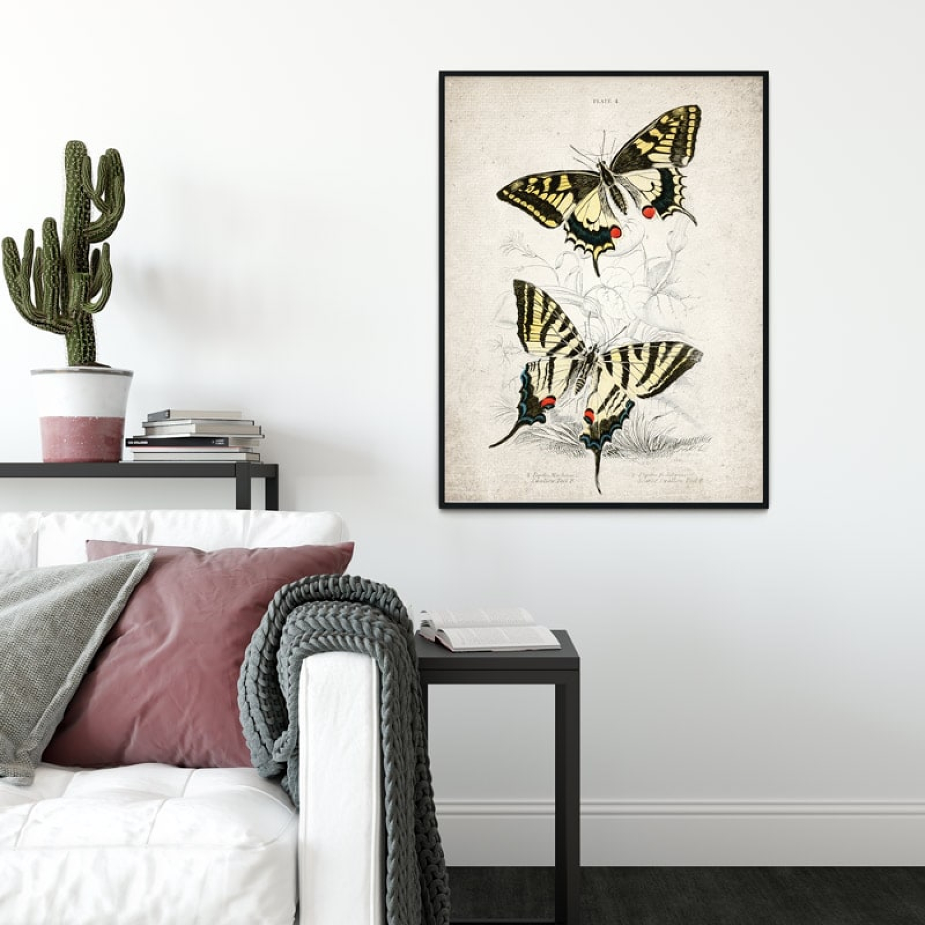 Vintage Entomology Giclee Print (Papilio machaon 1835)