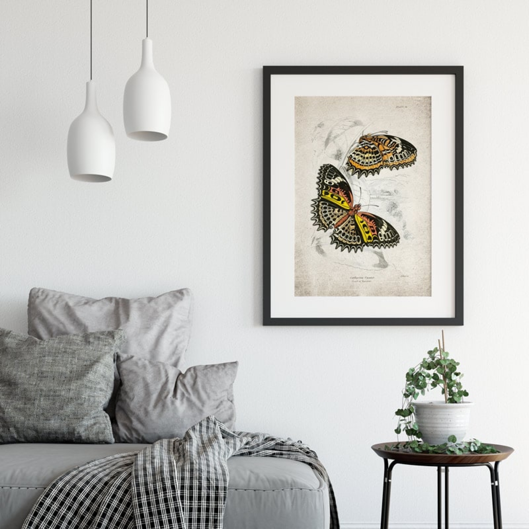 Minibeast Vintage Entomology Giclee Print (Cethosia cyane 1835)