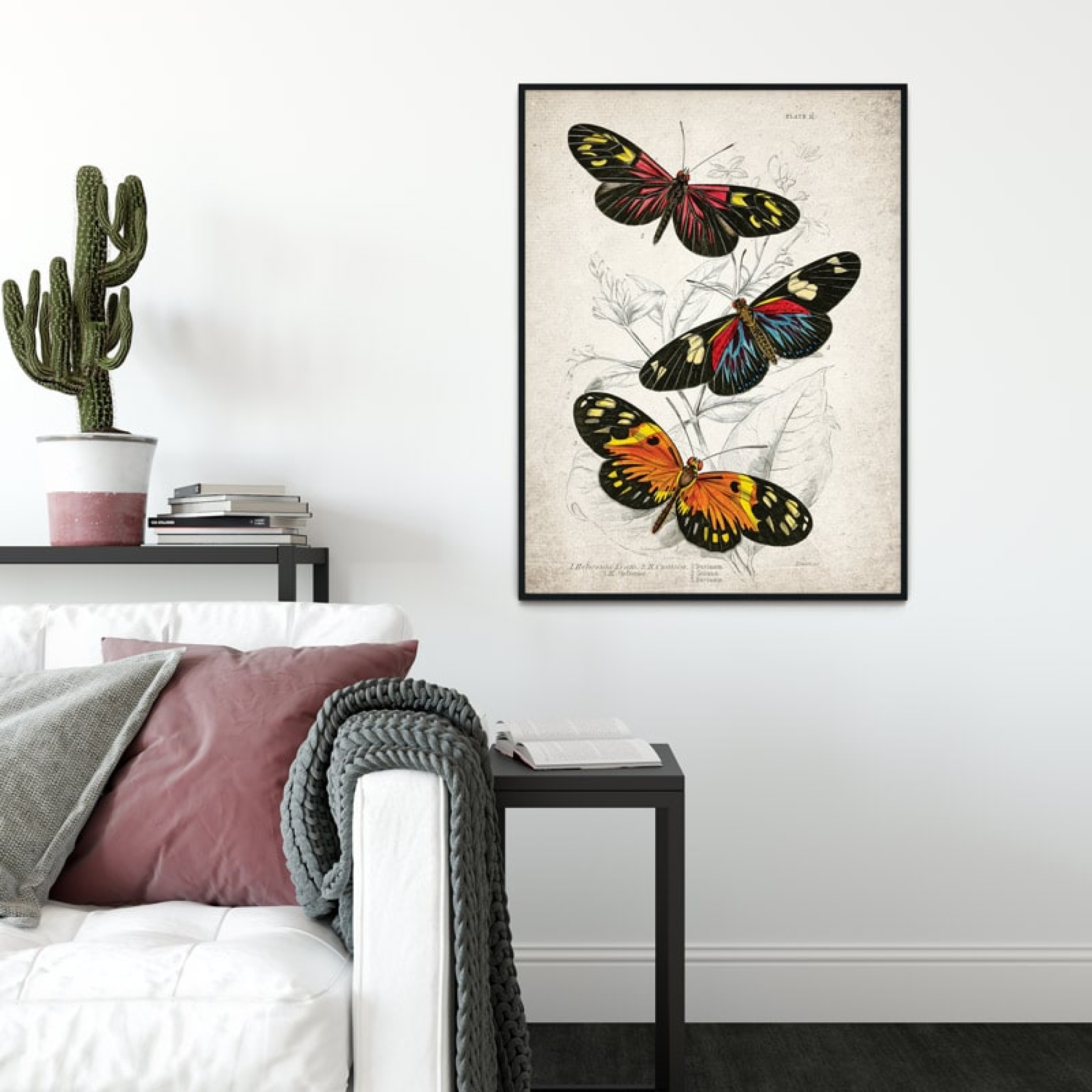 Vintage Entomology Giclee Print (Heliconia erato 1835)