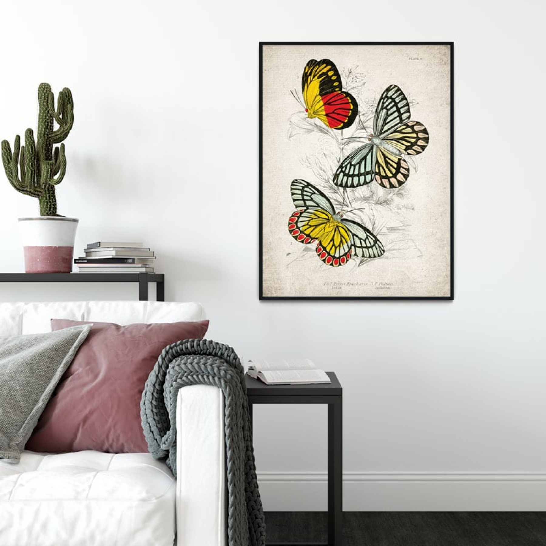 Minibeast Vintage Entomology Giclee Print (Piers Epicharis 1835)