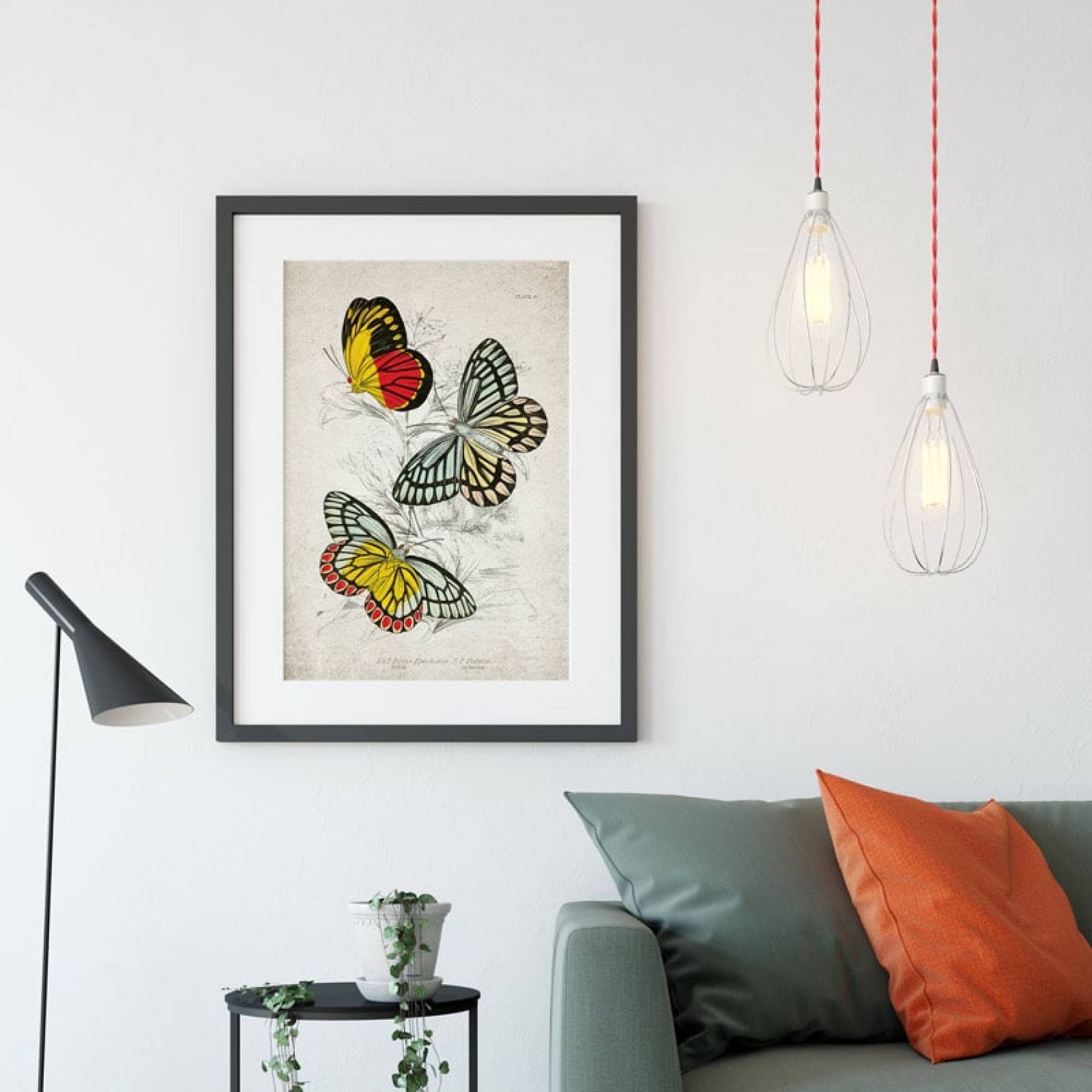 Minibeast Vintage Entomology Giclee Print (Piers Epicharis 1835)