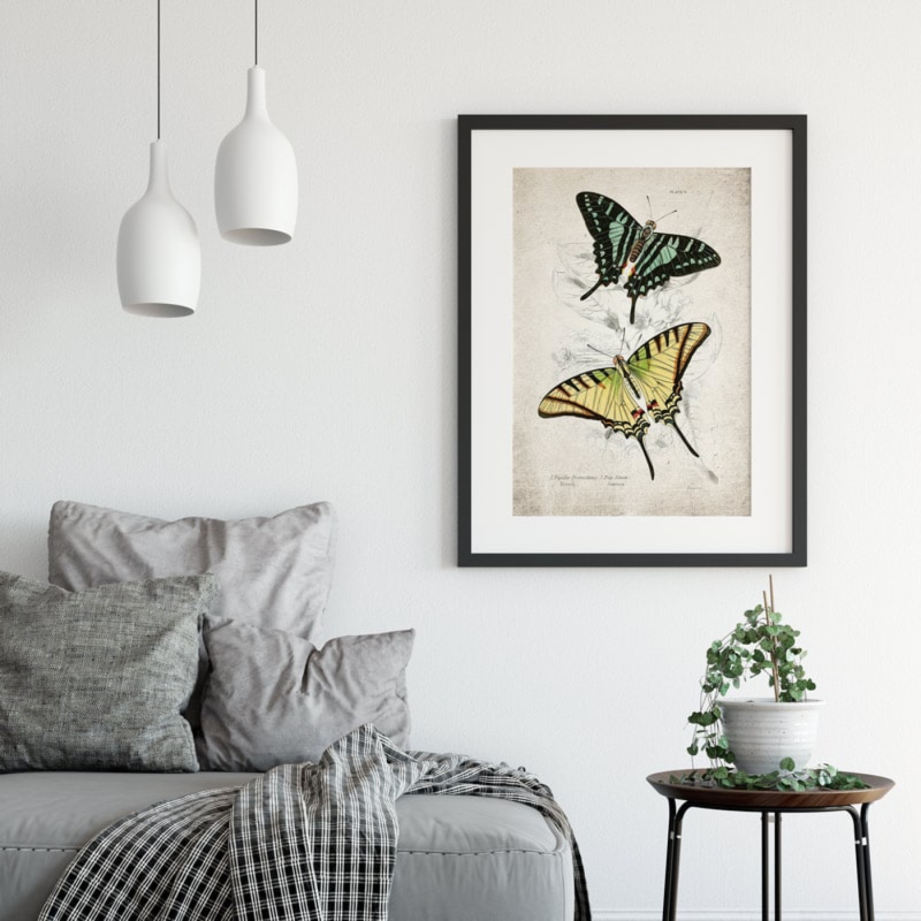 Vintage Entomology Giclee Print (Papilio Protesilaus 1835) Vintage Entomology Giclee Print (Papilio Protesilaus 1835)