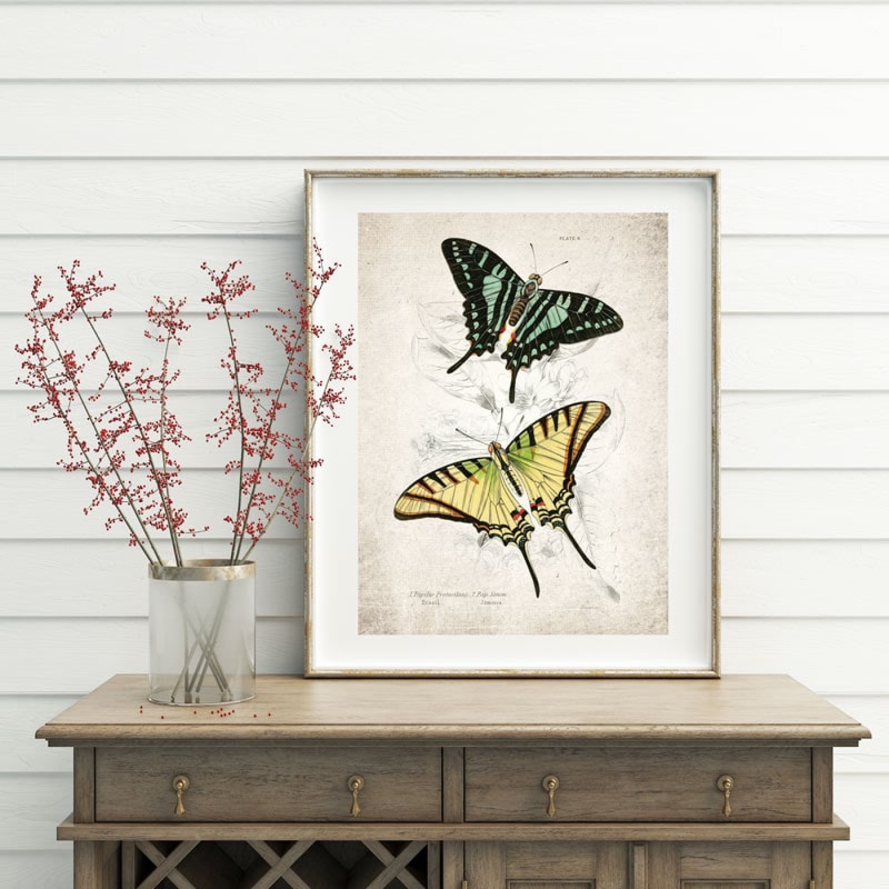 Vintage Entomology Giclee Print (Papilio Protesilaus 1835) Vintage Entomology Giclee Print (Papilio Protesilaus 1835)