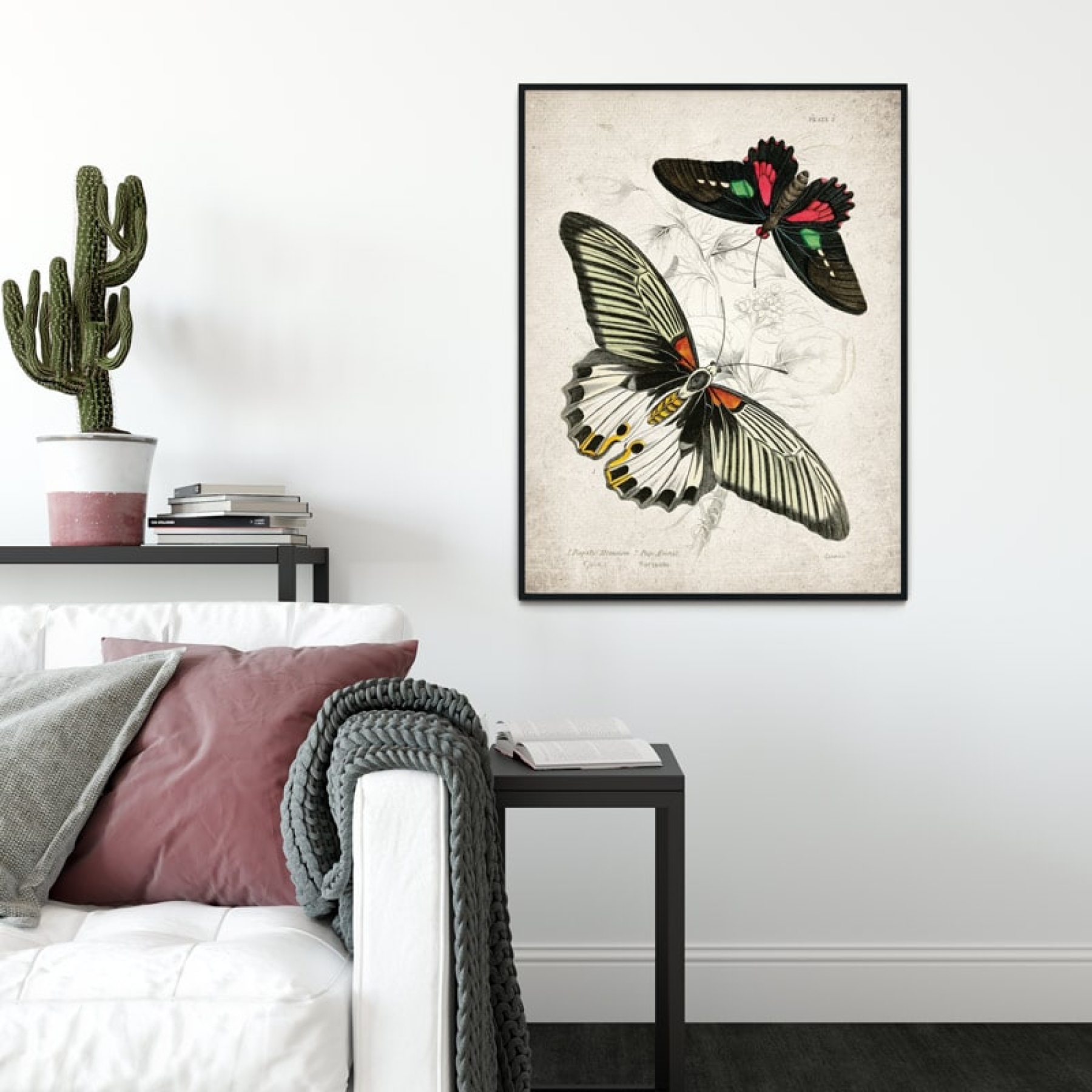 Vintage Entomology Giclee Print (Papilio memnon 1835)