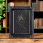 Minibeast Peacock Feather from an Indian Peafowl In Baroque Style Frame (Pavo cristatus)
