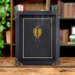 Minibeast Flying Lizard In Baroque Style Frame (Draco haematopogon)