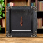 Minibeast Fossilised Dinosaur Poo In Baroque Style Frame (Coprolite)