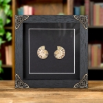 Minibeast Small Ammonite Pair In Baroque Style Frame (Cleoniceras sp)