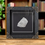 Minibeast Atlas Lizard Dinosaur Bone Fossil Slice In Baroque Style Frame (Atlasaurus sp)