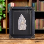 Minibeast Polished Dinosaur Bone Slice In Baroque Style Frame (Theropoda sp)