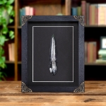 Minibeast 5 Inch Orthoceras Pear Drop Fossil In Baroque Style Frame (Orthoceras sp)