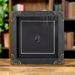 Minibeast Tektite Meteorite Glass In Baroque Style Frame