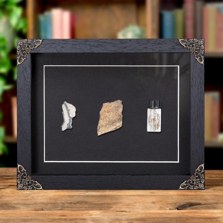 Woolly Mammoth Bone, Tooth & Hair Fossil In Baroque Style Frame (Mammuthus sp)