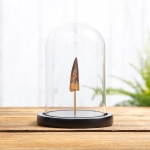 Minibeast Spinosaurus Dinosaur Tooth Fossil in Glass Dome (Spinosaurus aegyptiacus)